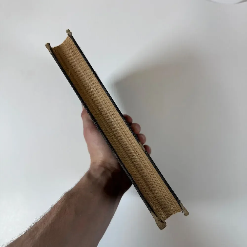 Biblical Commentary on the Book of Job Vol II by F. Delitzsch 1872 Antique Book